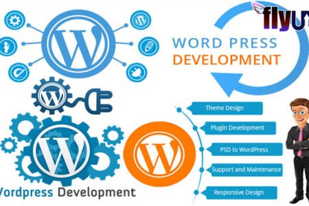 wordpress development